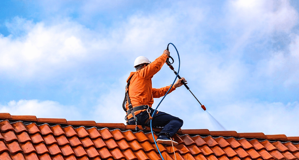 Should My Roof Be Soft-Washed