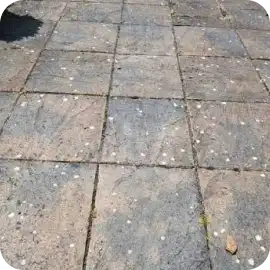 Weathered square patio stone tiles covered in dark mold, algae stains, and speckled debris.