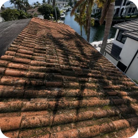 A roof with dark stains, black streaks, and green patches of moss and algae.